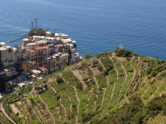 Appartamento Vacanze "Borgo Cinque Terre" Volastra Manarola Eksteriør bilde
