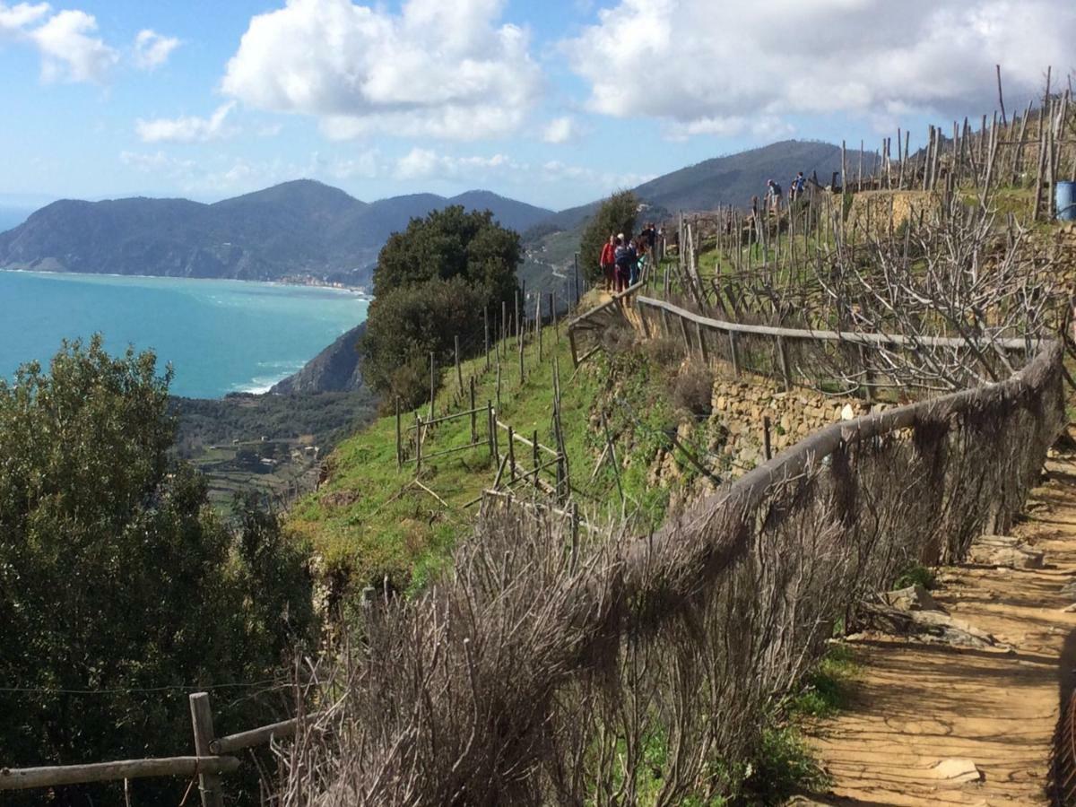 Appartamento Vacanze "Borgo Cinque Terre" Volastra Manarola Eksteriør bilde