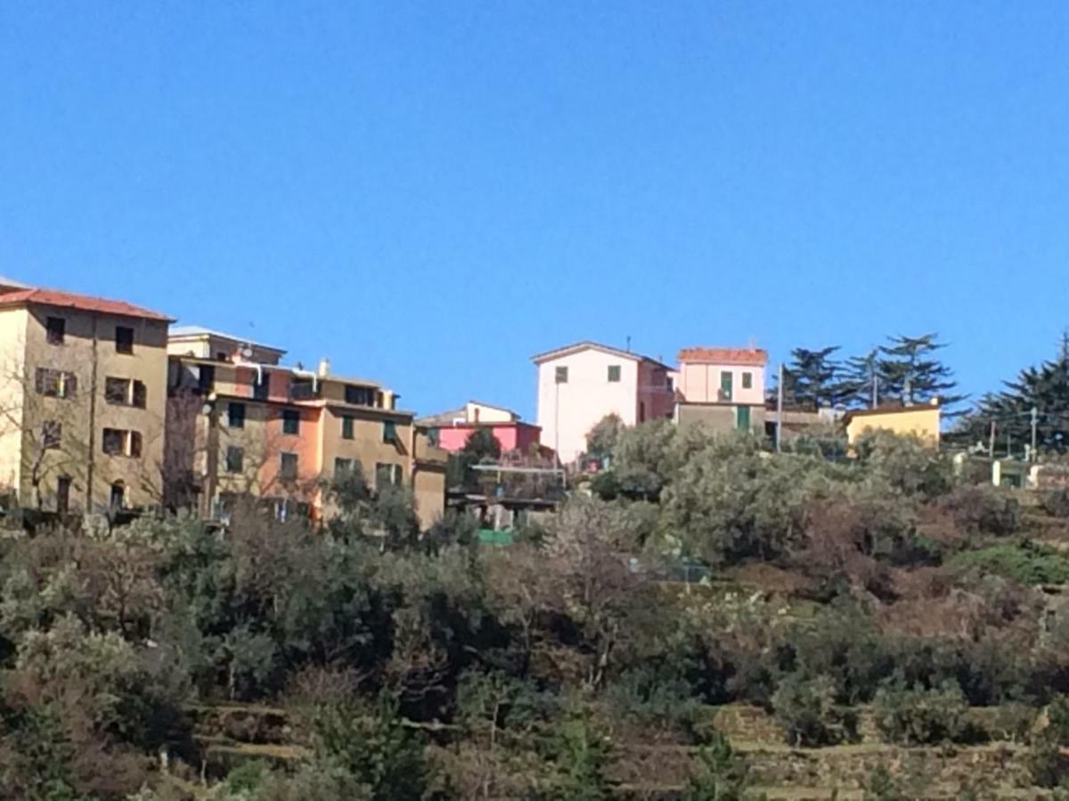 Appartamento Vacanze "Borgo Cinque Terre" Volastra Manarola Eksteriør bilde