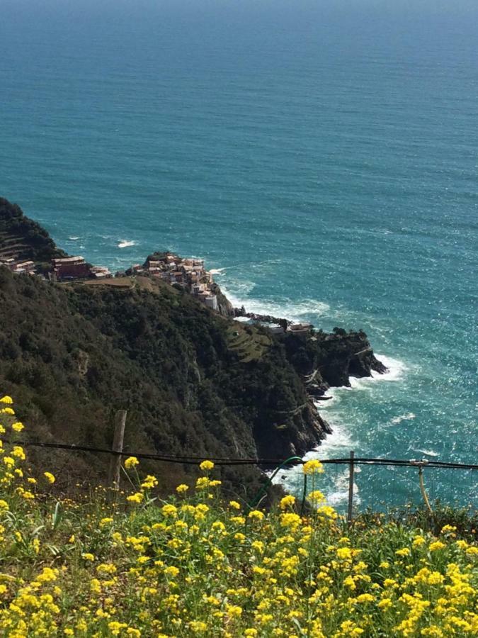 Appartamento Vacanze "Borgo Cinque Terre" Volastra Manarola Eksteriør bilde